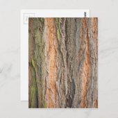 古い木 ポストカード (正面/裏面)
