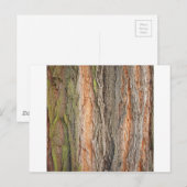 古い木 ポストカード (正面/裏面)