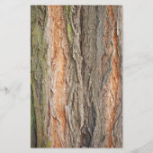 古い木 便箋 (正面)