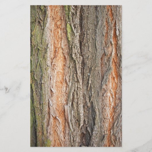 古い木 便箋 (正面)