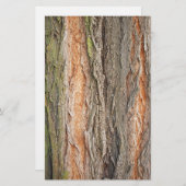 古い木 便箋 (正面/裏面)