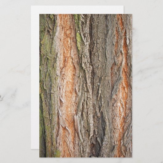 古い木 便箋 (正面/裏面)