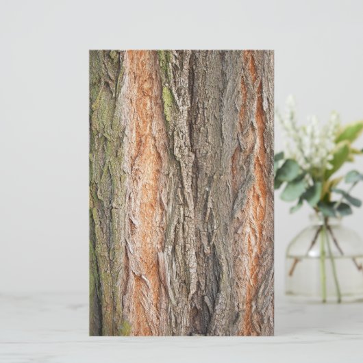 古い木 便箋 (スタンド正面)
