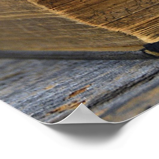 古い本のバラ ポスター (角)