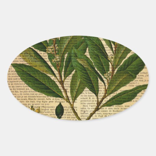 古い本のページの植物性プリント 楕円形シール (正面)