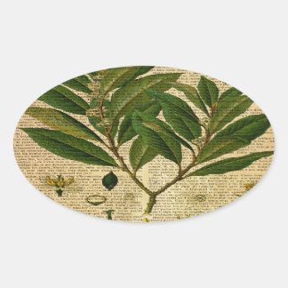 古い本のページの植物性プリント 楕円形シール