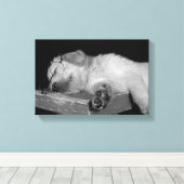 古い本の上で眠っているゴールデンレトリバー キャンバスプリント (インサイチュ (ウッドフロア))