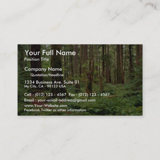 古い材木の中の剣シダのカーペット 名刺 (正面)