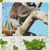 古い松の木にオーストラリア産のコアラクマがいる。 キッチンタオル (折り畳み)