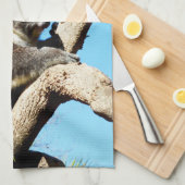 古い松の木にオーストラリア産のコアラクマがいる。 キッチンタオル (四つ折り)