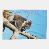 古い松の木にオーストラリア産のコアラクマがいる。 キッチンタオル (横)