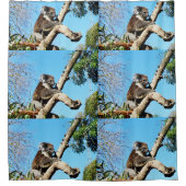 古い松の木にオーストラリア産のコアラクマがいる。 シャワーカーテン (正面)