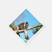 古い松の木にオーストラリア産のコアラクマがいる。 スタンダードカクテルナプキン (角)