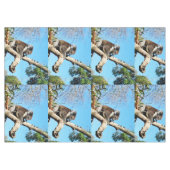 古い松の木にオーストラリア産のコアラクマがいる。 テーブルクロス (正面(横))