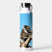 古い松の木にコアラ・ベアー。 ウォーターボトル (正面)