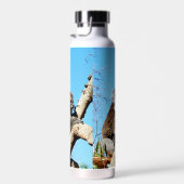 古い松の木にコアラ・ベアー。 ウォーターボトル (右面)