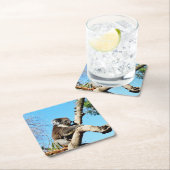 古い松の木にコアラ・ベアー。 スクエアペーパーコースター (インサイチュ)