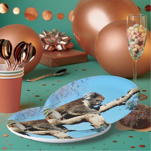 古い松の木にコアラ・ベアー。 ペーパープレート (複数)