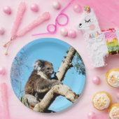 古い松の木にコアラ・ベアー。 ペーパープレート (パーティー)