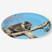 古い松の木にコアラ・ベアー。 ペーパープレート (アングル)