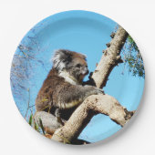 古い松の木にコアラ・ベアー。 ペーパープレート (正面)