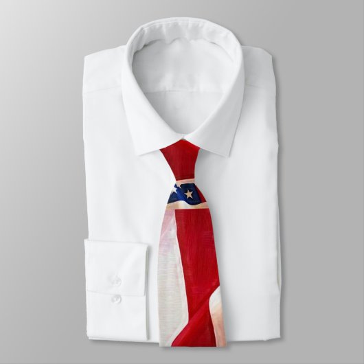 古い栄光の米国旗 ネクタイ (タイ)