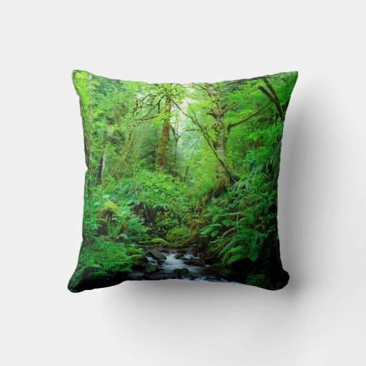 古い森の川 クッション (裏面)