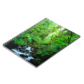 古い森の川 ノートブック (左側)