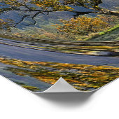 古い樫の木….. ポスター (角)