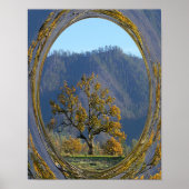 古い樫の木….. ポスター (正面)