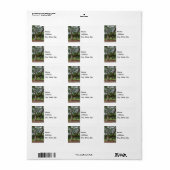 古い樫の木 ラベル (フルシート)