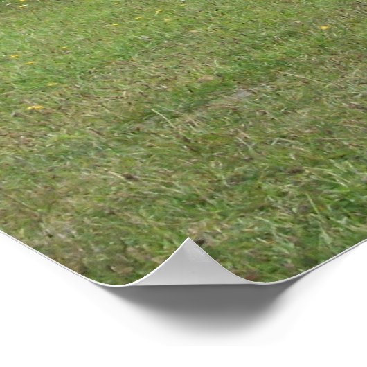 古い機関車の写真 ポスター (角)