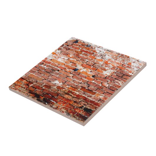 古い煉瓦上品 タイル (側面)