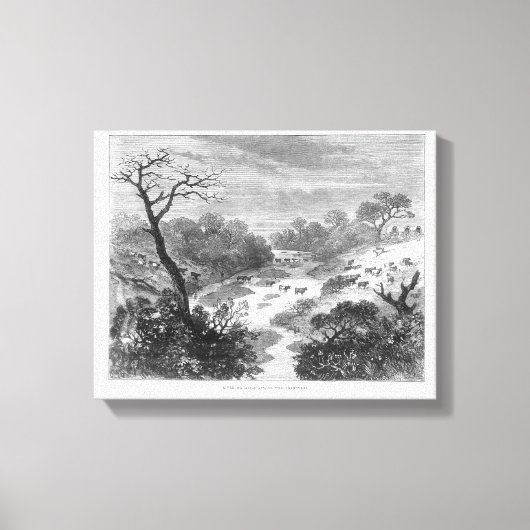 古い版木、銅版、版画 – 牛の風景 キャンバスプリント (正面)