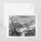 古い版木、銅版、版画 – 牛の風景 ポストカード (正面/裏面)