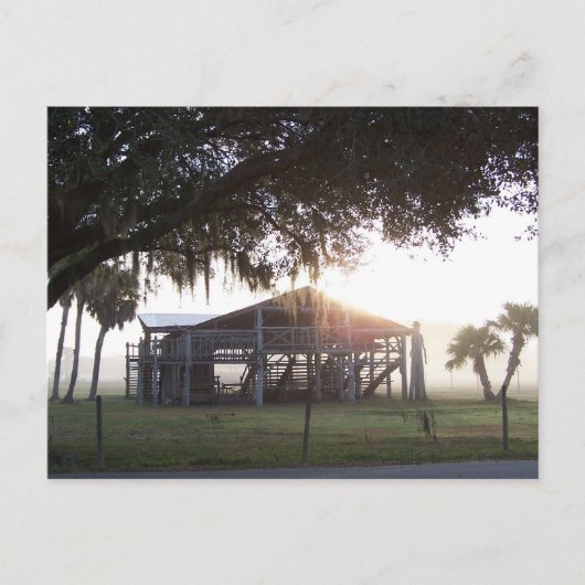 古い牧場の建物木の下に男の像と ポストカード (正面)