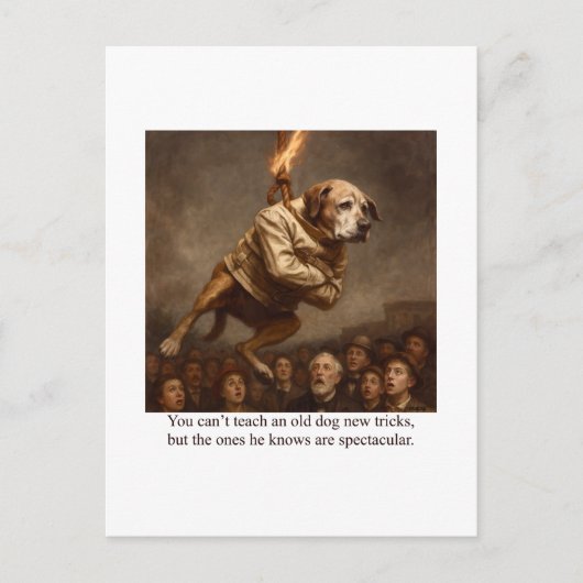 古い犬教えは新しいトリックが出来ない ポストカード (正面)