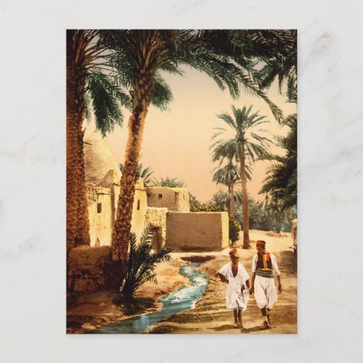 古い町の通り、Biskra、アルジェリア ポストカード (正面)