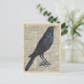古い百科事典のページのカラスのヴィンテージのイラストレーション ポストカード (スタンド正面)