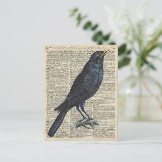 古い百科事典のページのカラスのヴィンテージのイラストレーション ポストカード (スタンド正面)