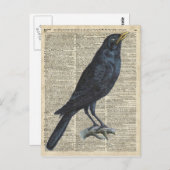 古い百科事典のページのカラスのヴィンテージのイラストレーション ポストカード (正面/裏面)