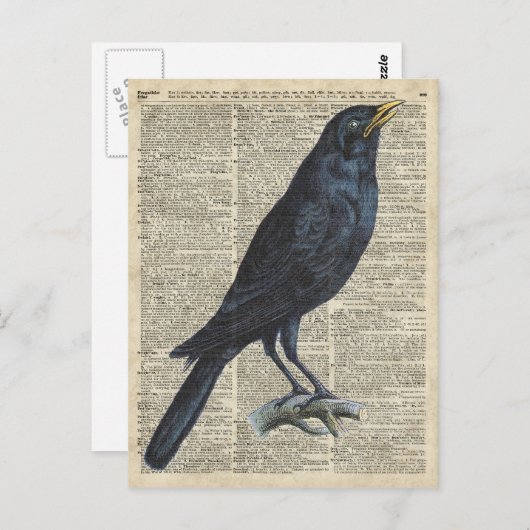 古い百科事典のページのカラスのヴィンテージのイラストレーション ポストカード (正面/裏面)