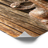 古い真鍮ドアノッカー ポスター (角)