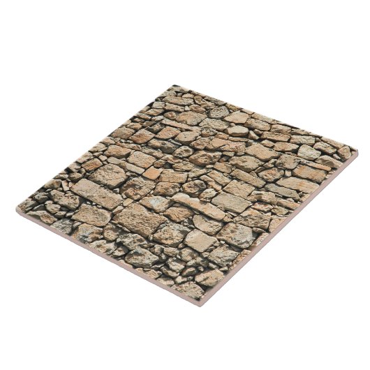 古い石塀の質 タイル (側面)