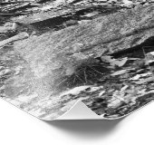 古い石段 フォトプリント            (角)