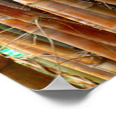 古い竹 ポスター (角)