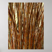 古い竹 ポスター (正面)