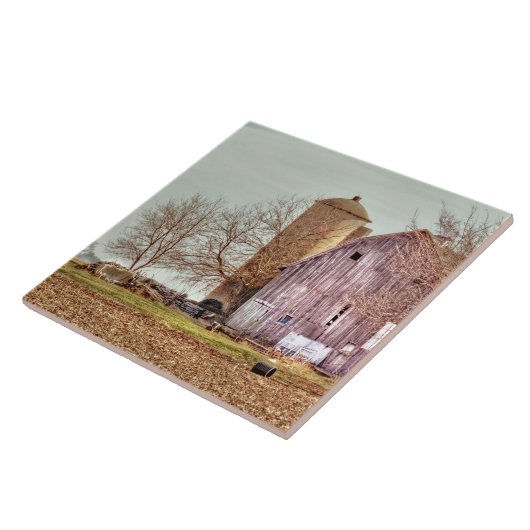 古い納屋およびサイロ タイル (側面)