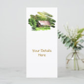 古い納屋のラックカード (スタンド正面)