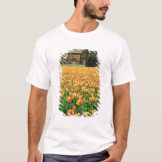 古い納屋の前の春のチューリップ Tシャツ (正面)